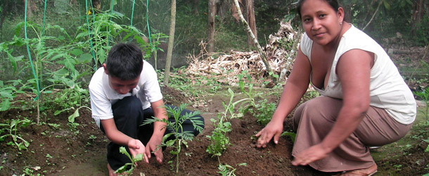 sustainable development - vegetable garden in Ecuador