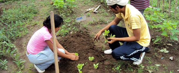 teaching families to grow vegetables to improve health in Bua de los Colorados, in Ecuador