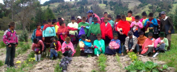 A volunteer option in the Andes in an indigenous community