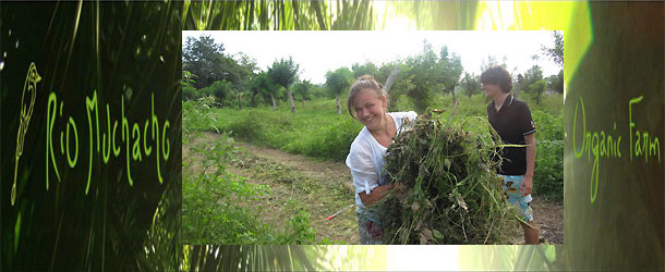 Volunteering in Ecuador on an organic farm at the Pacific coast