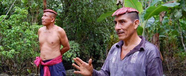 The Tsa'chila of Santo Domingo are one of the original indigenous cultures of Ecuador