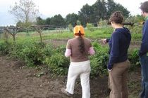 volunteer work in reforestation and organic farming and environmental education in the Andes of Ecuador